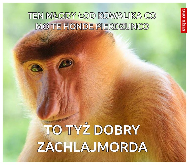 Ten młody łod Kowalika co mo te Honde pierdzunco