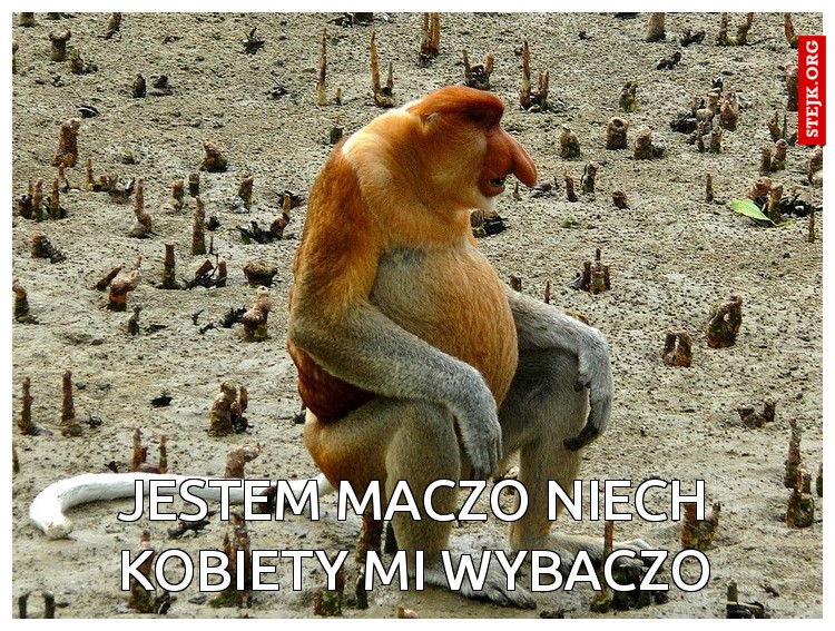 Jestem maczo niech kobiety mi wybaczo