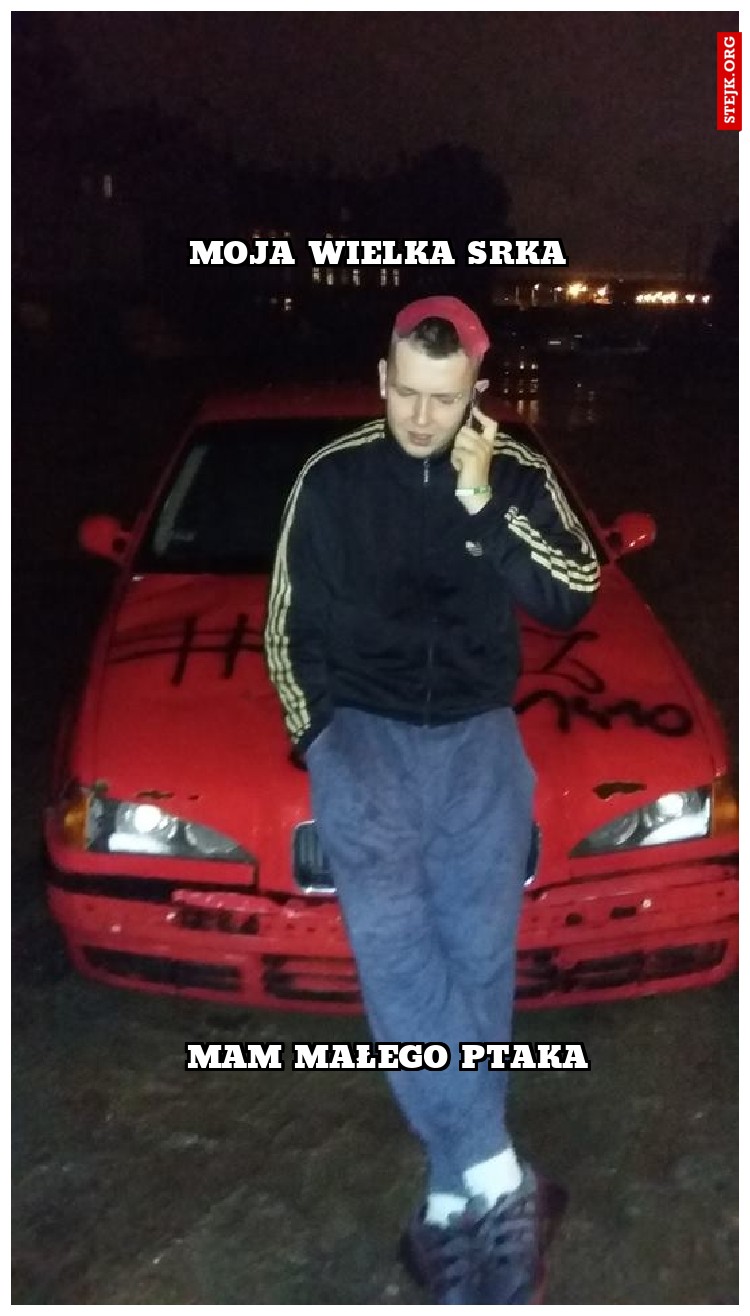 moja wielka srka
