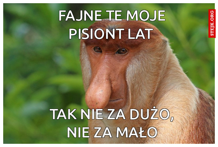 fajne te moje pisiont lat