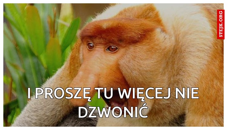 I proszę tu więcej nie dzwonić