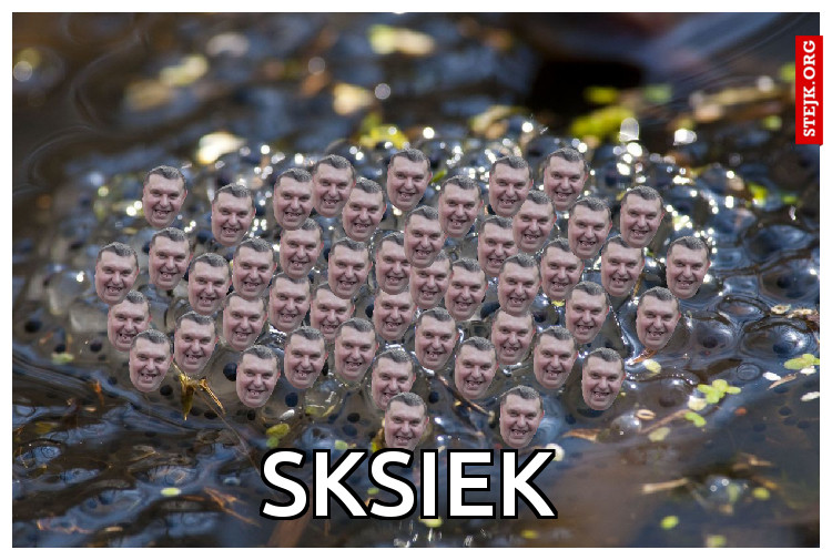 Sksiek