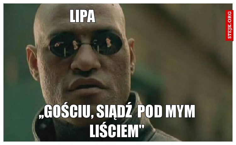 Lipa