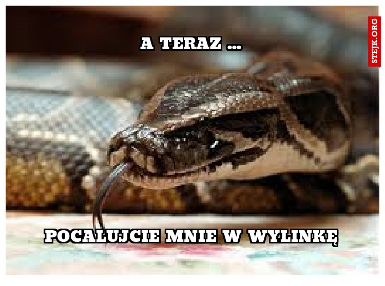 pocalujcie mnie w wylinkę
