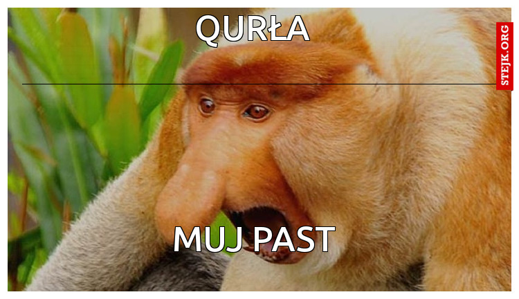 qurła 