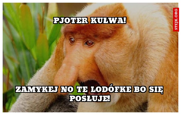Piotra kulawo!!