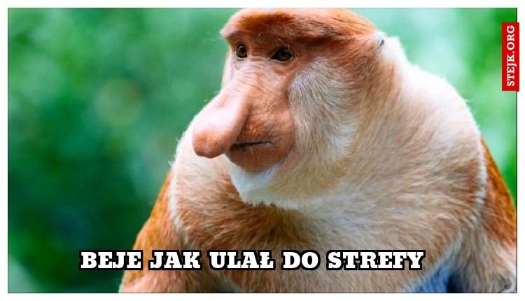 Beje jak ulał do strefy