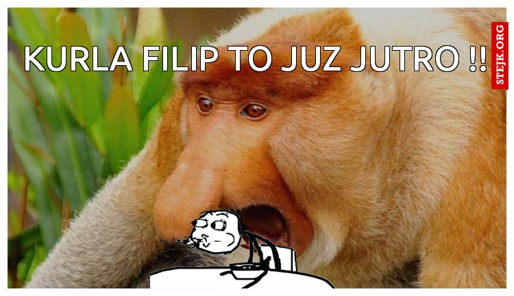 kurla filip to juz jutro !!