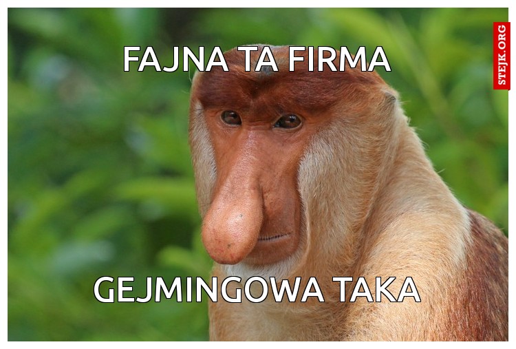 Fajna ta firma