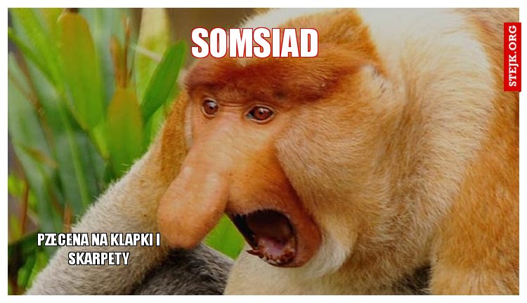 Somsiad.jpg