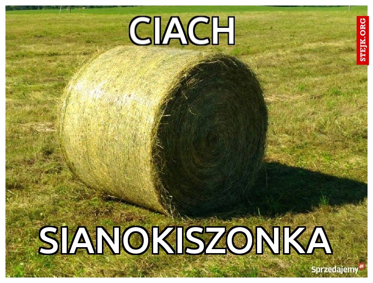 CIACH