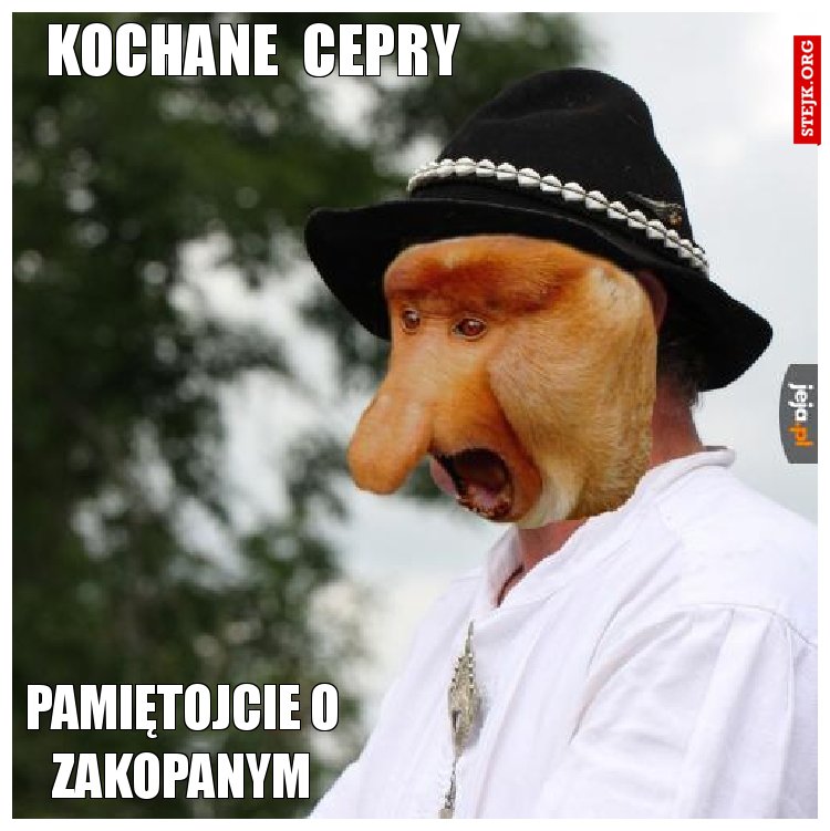 kochane  cepry