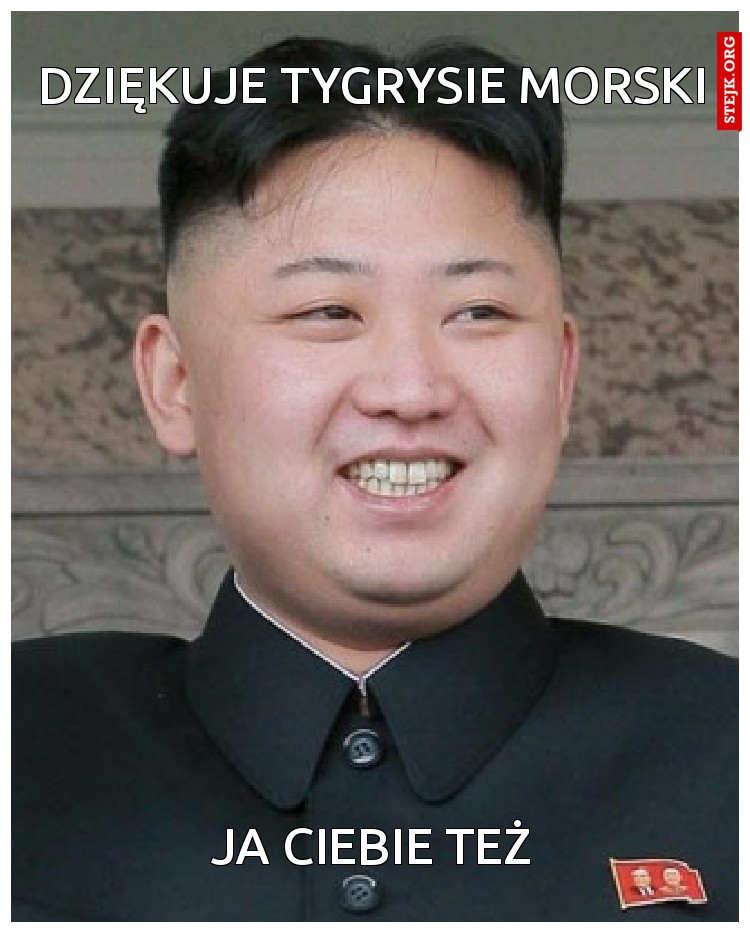 dziękuje Tygrysie morski