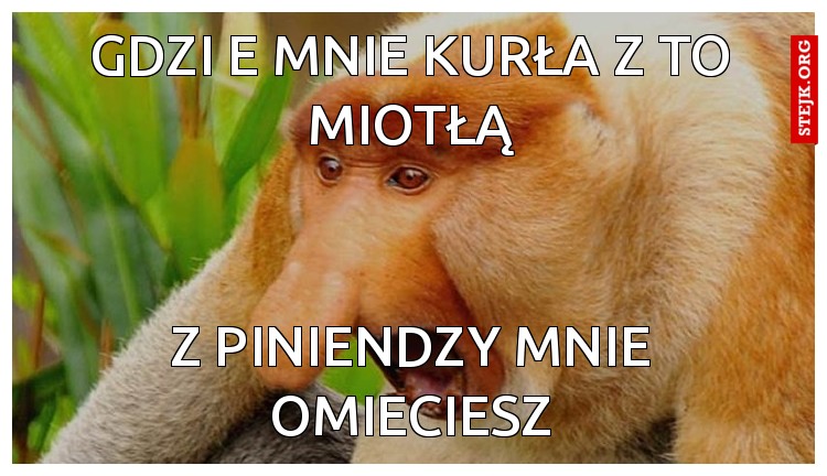 Gdzi e mnie kurła z to miotłą