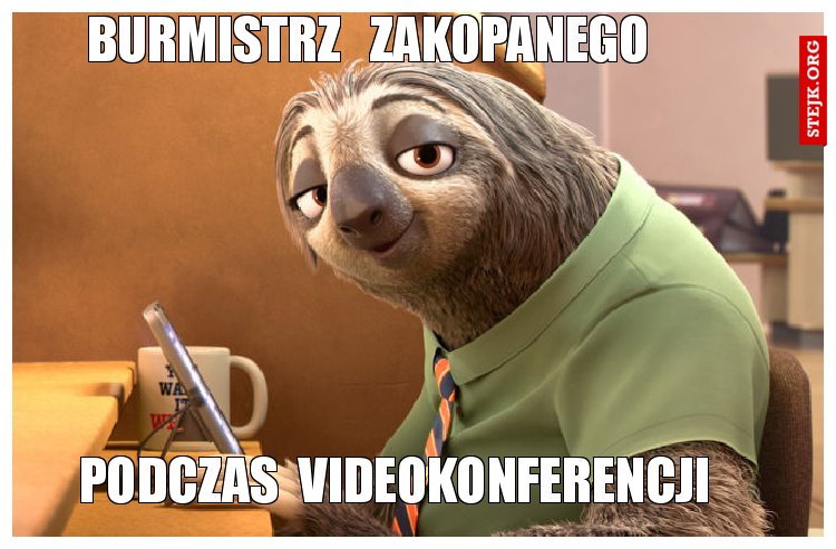 burmistrz   zakopanego