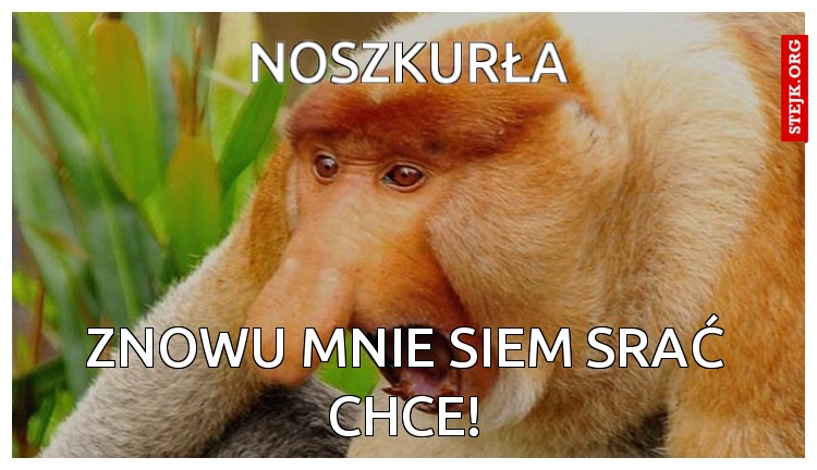NOSZKURŁA