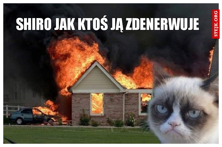 Shiro jak ktoś ją zdenerwuje 