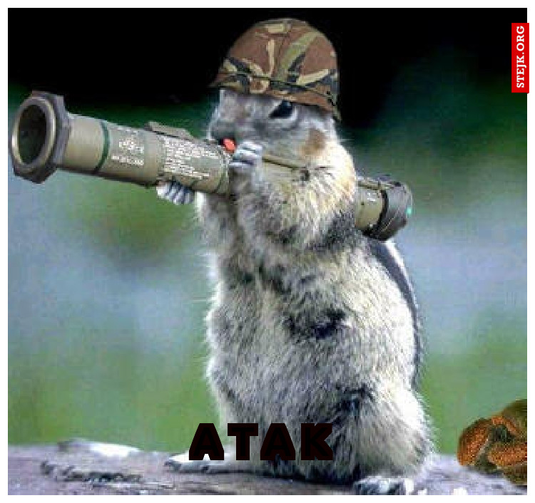 A T A K 