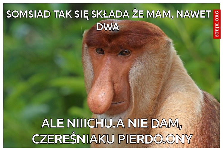 somsiad tak się składa że mam, nawet dwa 