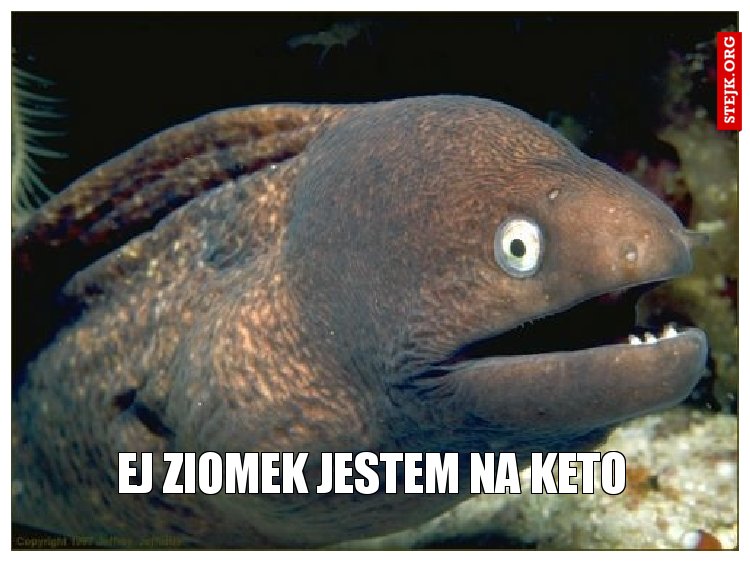 ej ziomek jestem na keto