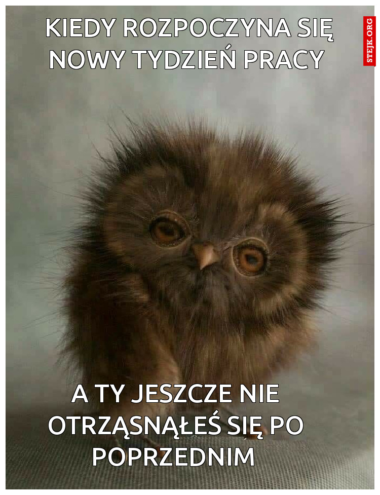 Kiedy rozpoczyna się nowy tydzień pracy 