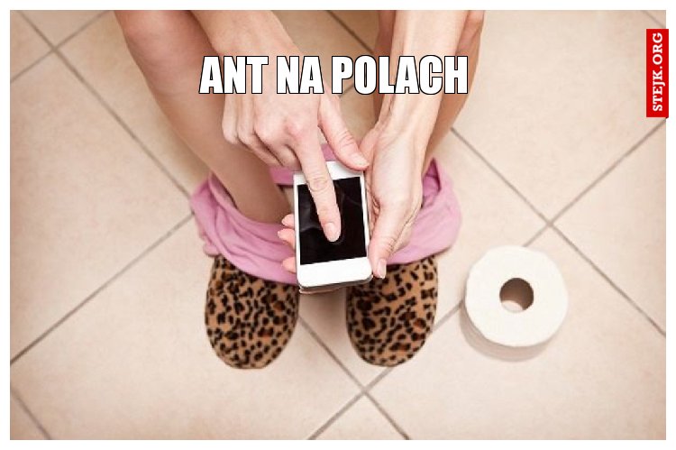 Ant na polach