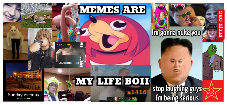 MEMES ARE