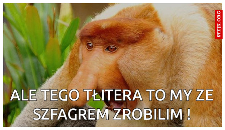aLE TEGO TŁITERA TO MY ZE SZFAGREM ZROBILIM !