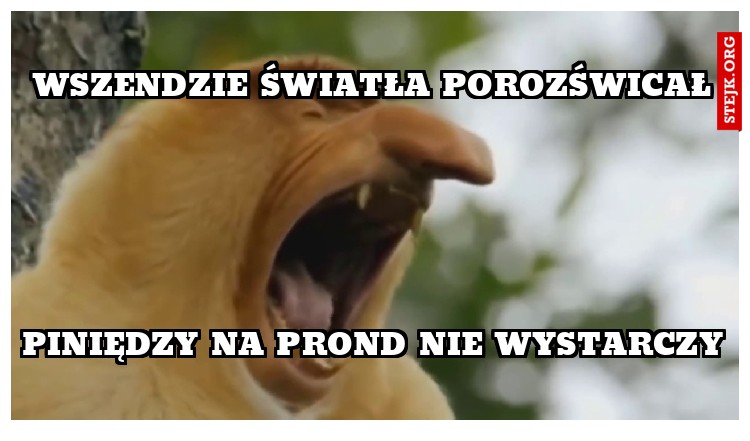 Wszendzie światła porozświcał