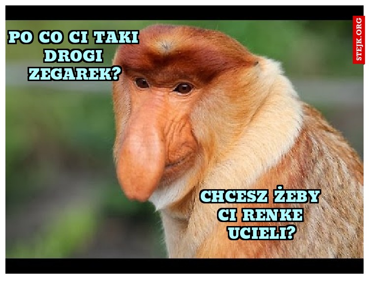 Po co ci taki drogi zegarek?