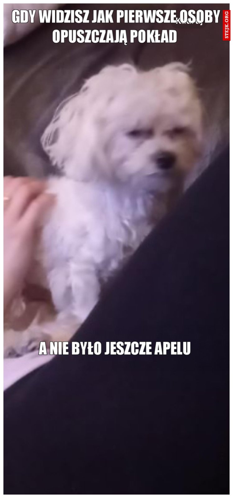 Gdy widzisz jak pierwsze osoby opuszczają pokład 