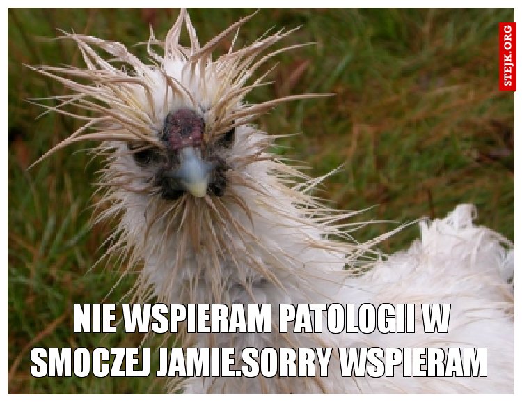  nie wspieram patologii w smoczej jamie.Sorry wspieram