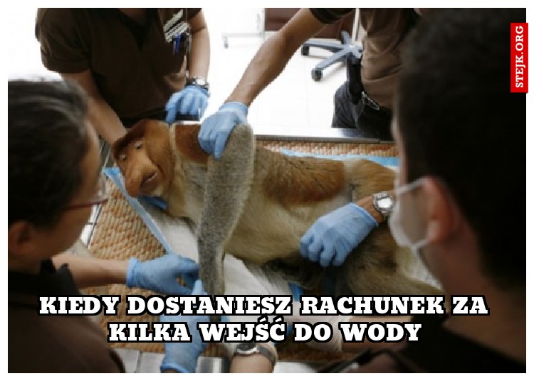 Kiedy dostaniesz rachunek za nurkowanie