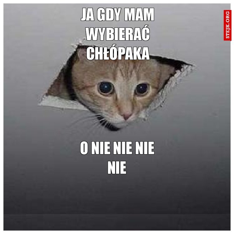ja gdy zobacze cripera w minecraft