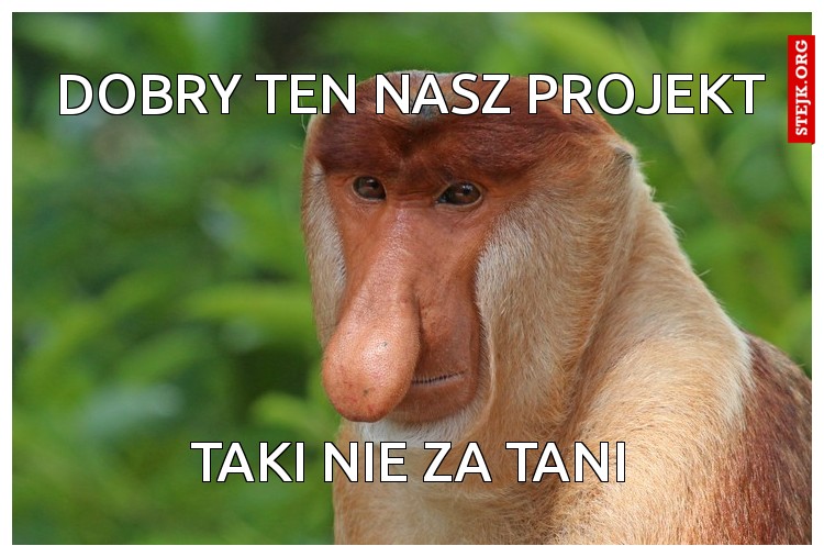 Dobry ten nasz projekt