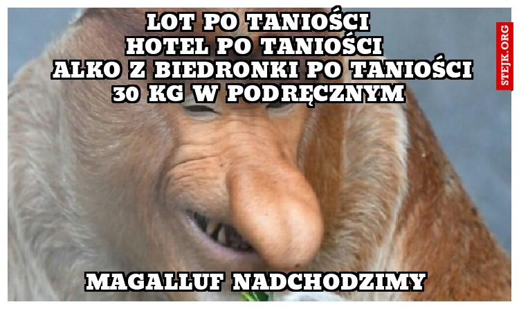Lot po taniości