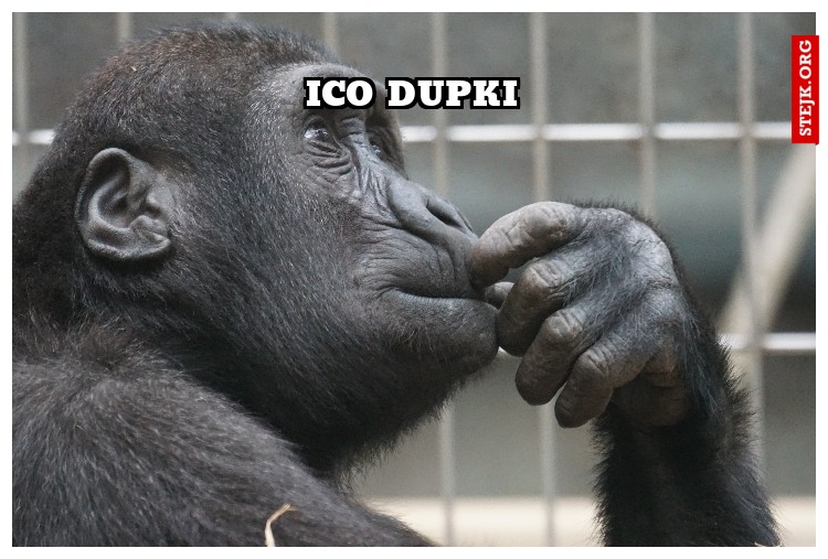 ico dupki