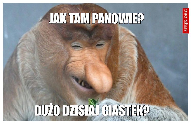 Jak tam panowie? 