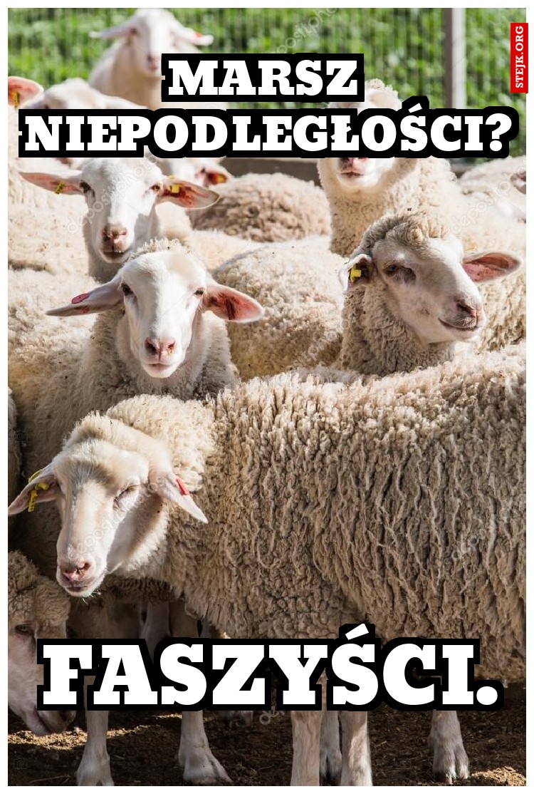 Marsz niepodległości?