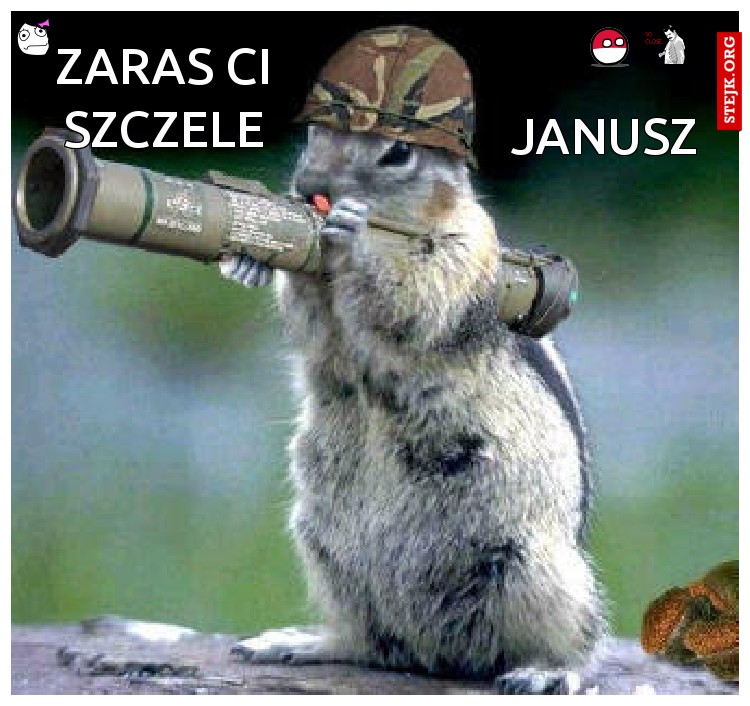 ZARAS CI SZCZELE