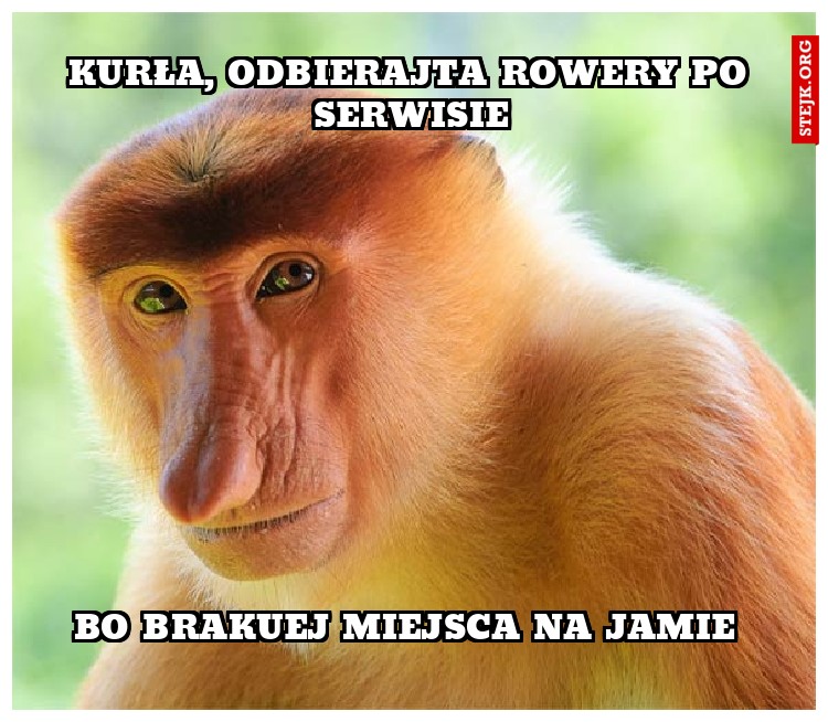 Kurła, odbierajta rowery po serwisie