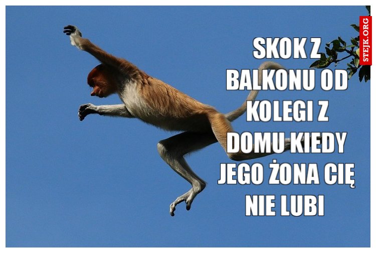 Skok z balkonu od kolegi z domu kiedy jego żona cię nie lubi 