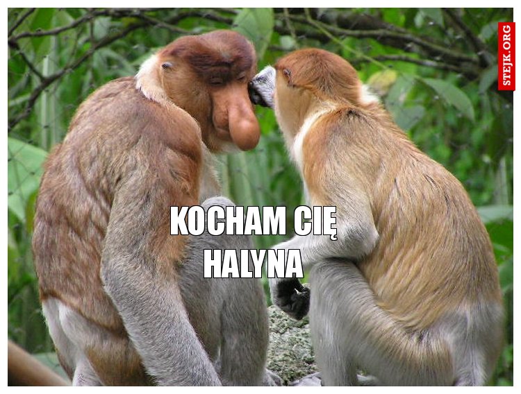 Kocham Cię Halyna