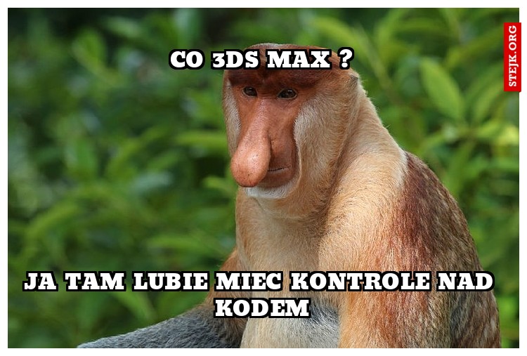 CO 3DS MAX ?