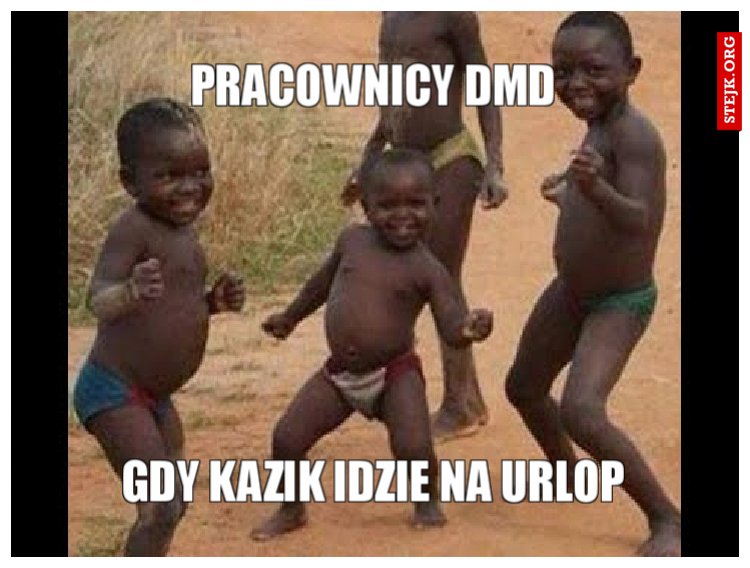 Pracownicy DMD