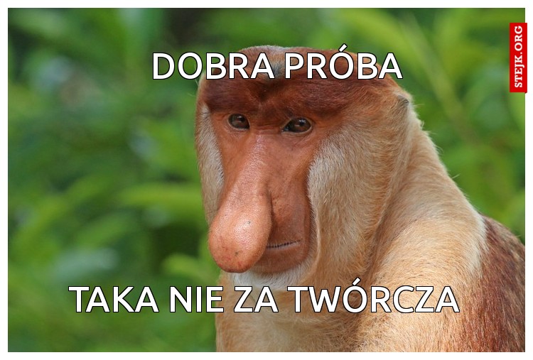 Dobra próba