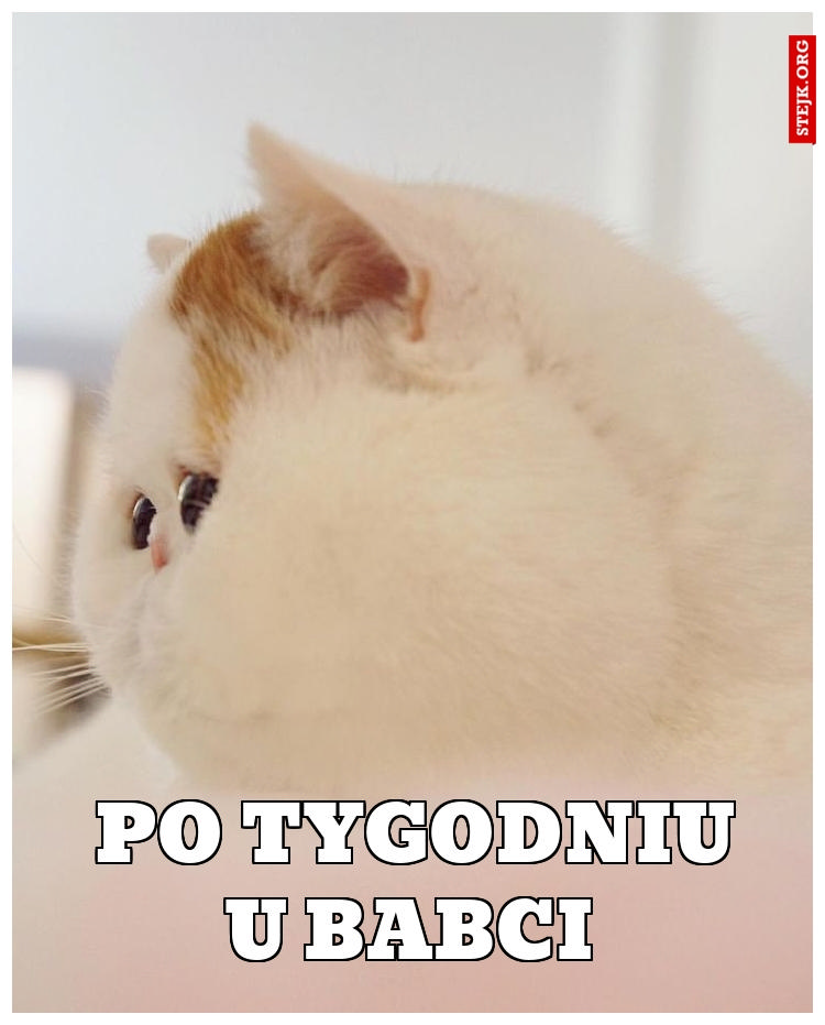 Po tygodniu u babci