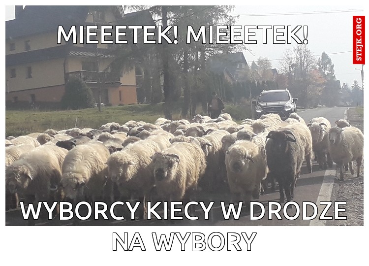 Mieeetek! Mieeetek!