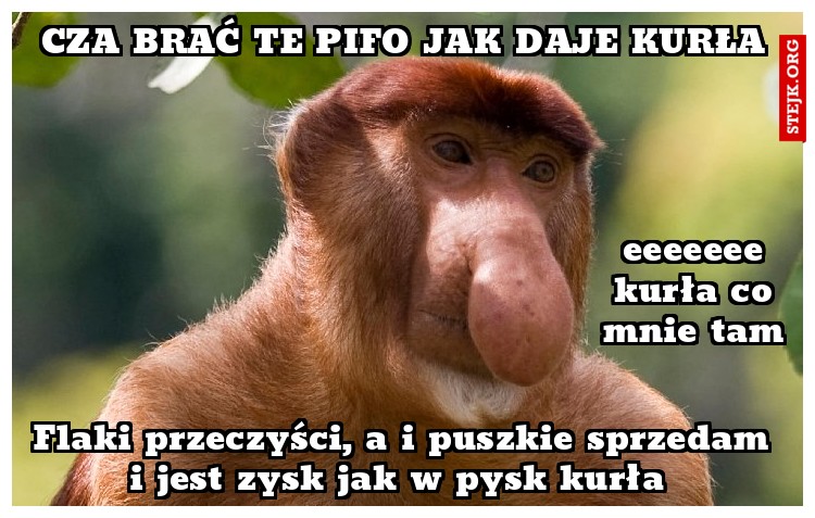 Cza brać te pifo jak daje kurła
