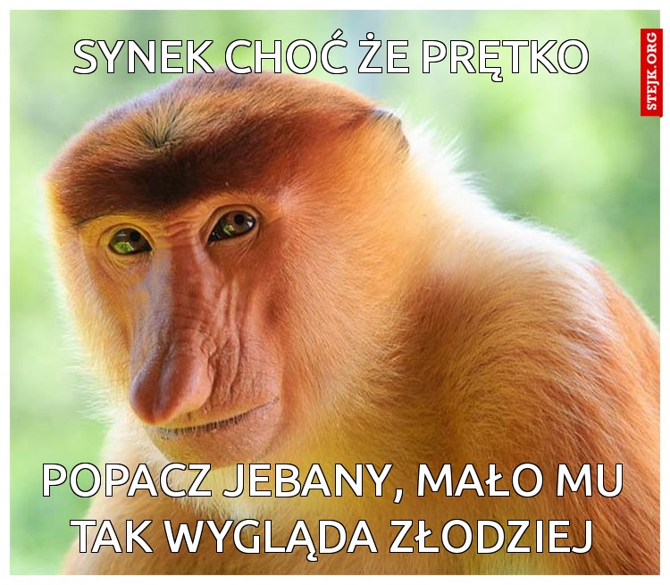 synek choć że prętko